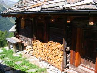 IMG_4448.JPG